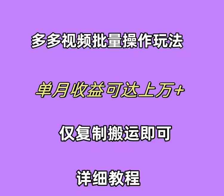 （10029期）拼多多视频带货快速过爆款选品教程 每天轻轻松松赚取三位数佣金 小白必…网创项目-知识付费-在线课程-自媒体创业-网络副业-优利资源优利资源网