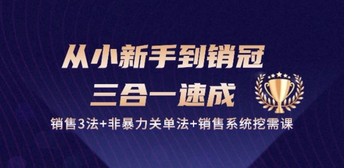 从小新手到销冠 三合一速成：销售3法+非暴力关单法+销售系统挖需课 (27节)网创项目-知识付费-在线课程-自媒体创业-网络副业-优利资源优利资源网