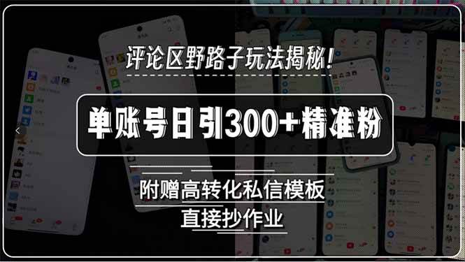 （15466期）评论区野路子玩法揭秘！单账号日引300+精准粉，附赠高转化私信模板，直…网创项目-知识付费-在线课程-自媒体创业-网络副业-优利资源优利资源网