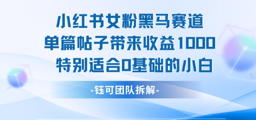 小红书女粉黑马赛道单篇帖子带来收益1k+，特别适合0基础的小白网创项目-知识付费-在线课程-自媒体创业-网络副业-优利资源优利资源网