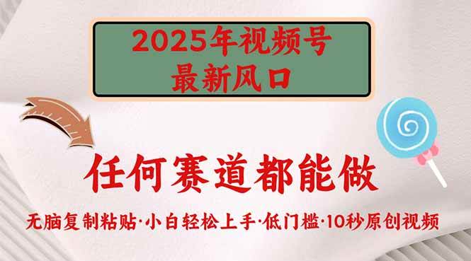 （14453期）2025年视频号新风口，低门槛只需要无脑执行网创项目-知识付费-在线课程-自媒体创业-网络副业-优利资源优利资源网