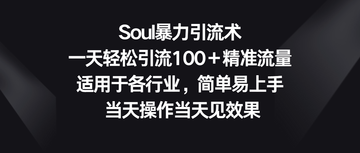 Soul暴力引流术，一天轻松引流100＋精准流量，适用于各行业，简单易上手！网创项目-知识付费-在线课程-自媒体创业-网络副业-优利资源优利资源网