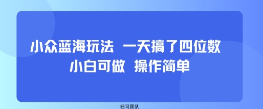 小众蓝海玩法 一天搞了四位数 小白可做 操作简单网创项目-知识付费-在线课程-自媒体创业-网络副业-优利资源优利资源网
