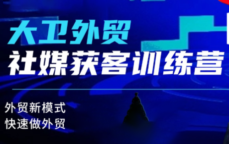 大卫老师·外贸社媒获客独家训练营(更新10月)网创项目-知识付费-在线课程-自媒体创业-网络副业-优利资源优利资源网