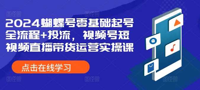 2024蝴蝶号零基础起号全流程+投流，视频号短视频直播带货运营实操课网创项目-知识付费-在线课程-自媒体创业-网络副业-优利资源优利资源网