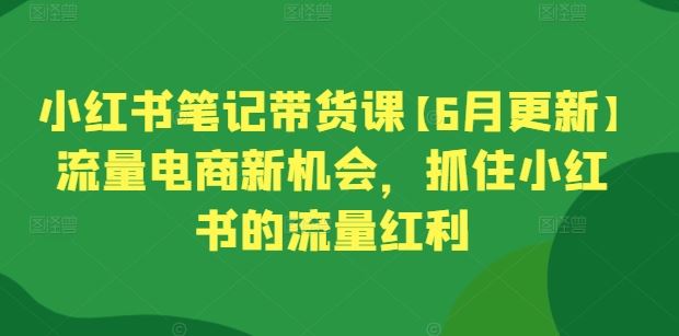 小红书笔记带货课【6月更新】流量电商新机会，抓住小红书的流量红利网创项目-知识付费-在线课程-自媒体创业-网络副业-优利资源优利资源网