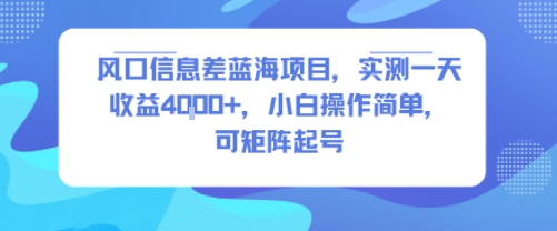 风口信息差蓝海项目，实测一天收益4k+，小白操作简单，可矩阵起号网创项目-知识付费-在线课程-自媒体创业-网络副业-优利资源优利资源网