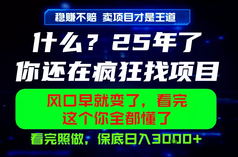 26年，请不要疯狂的找项目做了！卖项目才是真的稳賺不赔，看完照做，保底日入1k+【揭秘】网创项目-知识付费-在线课程-自媒体创业-网络副业-优利资源优利资源网