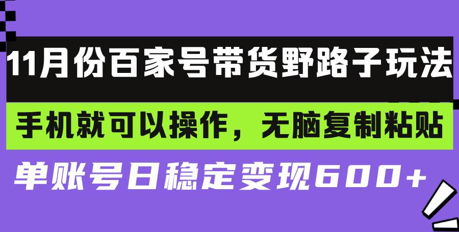 （13281期）百家号带货野路子玩法 手机就可以操作，无脑复制粘贴 单账号日稳定变现…网创项目-知识付费-在线课程-自媒体创业-网络副业-优利资源优利资源网