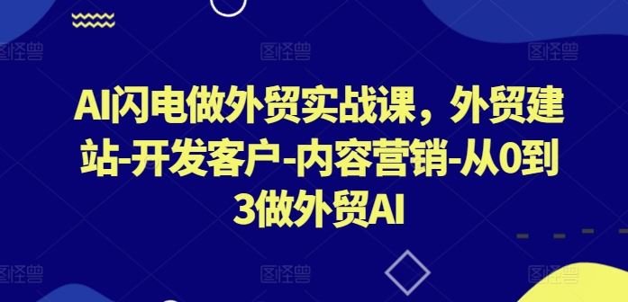 AI闪电做外贸实战课，外贸建站-开发客户-内容营销-从0到3做外贸AI网创项目-知识付费-在线课程-自媒体创业-网络副业-优利资源优利资源网