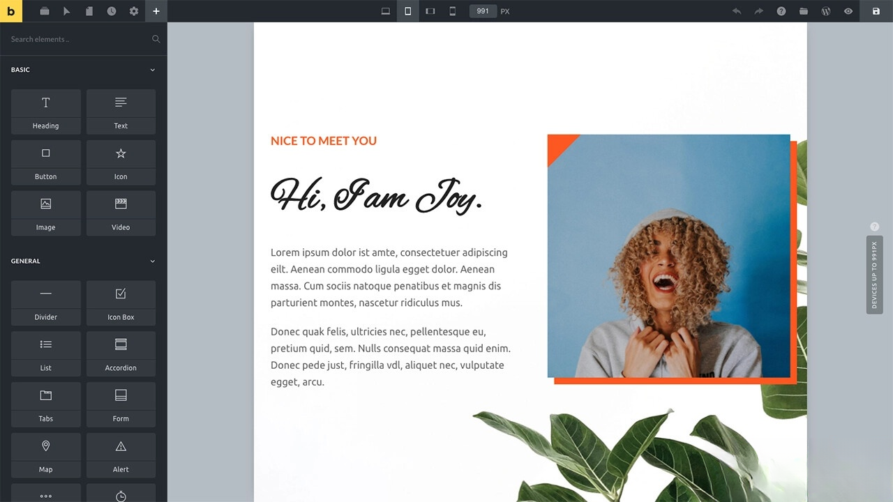 WordPress主题Bricks v1.9 破解版网创项目-知识付费-在线课程-自媒体创业-网络副业-优利资源优利资源网