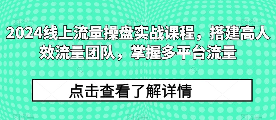 2024线上流量操盘实战课程，搭建高人效流量团队，掌握多平台流量网创项目-知识付费-在线课程-自媒体创业-网络副业-优利资源优利资源网