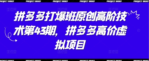 拼多多打爆班原创高阶技术第43期，拼多多高价虚拟项目网创项目-知识付费-在线课程-自媒体创业-网络副业-优利资源优利资源网