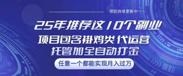 25年推荐这10个副业项目包含褂鸡类、代运营托管类、全自动打金类【揭秘】网创项目-知识付费-在线课程-自媒体创业-网络副业-优利资源优利资源网