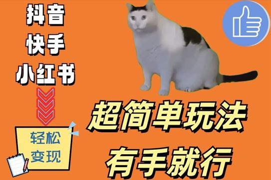 超简单玩法，有手就行，靠猫咪视频日入500+【揭秘】网创项目-知识付费-在线课程-自媒体创业-网络副业-优利资源优利资源网