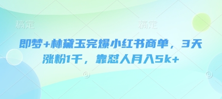 即梦+林黛玉完爆小红书商单，3天涨粉1千，靠怼人月入5k+网创项目-知识付费-在线课程-自媒体创业-网络副业-优利资源优利资源网