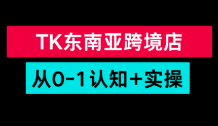 TikTok东南亚跨境从0-1认知实操课网创项目-知识付费-在线课程-自媒体创业-网络副业-优利资源优利资源网