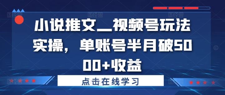 小说推文—视频号玩法实操，单账号半月破5000+收益网创项目-知识付费-在线课程-自媒体创业-网络副业-优利资源优利资源网