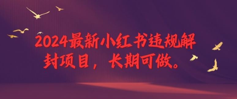 2024最新小红书违规解封项目，长期可做，一个可以做到退休的项目【揭秘】网创项目-知识付费-在线课程-自媒体创业-网络副业-优利资源优利资源网