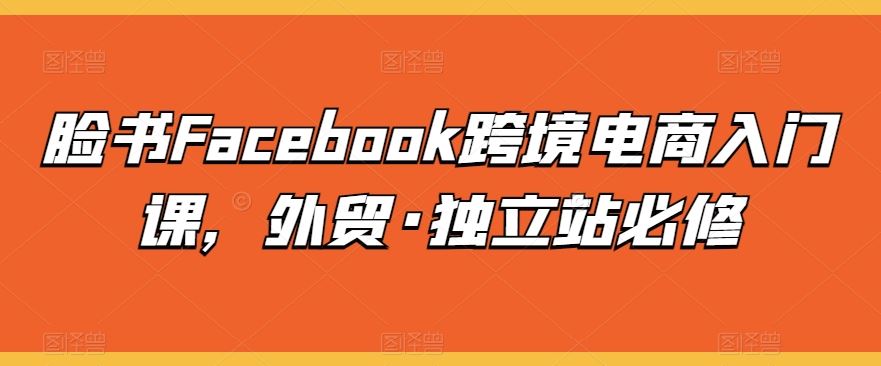 脸书Facebook跨境电商入门课，外贸·独立站必修网创项目-知识付费-在线课程-自媒体创业-网络副业-优利资源优利资源网