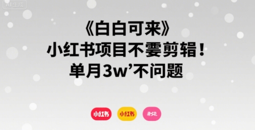小白可来 小红书项目不需要剪辑 单月3w不是问题网创项目-知识付费-在线课程-自媒体创业-网络副业-优利资源优利资源网