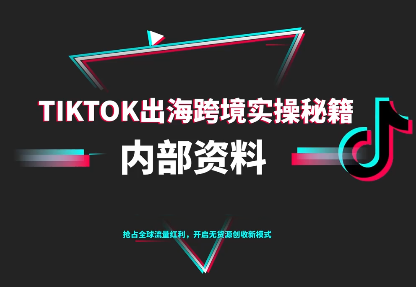 TikTok跨境电商0-1搭建运营(更新10月)网创项目-知识付费-在线课程-自媒体创业-网络副业-优利资源优利资源网