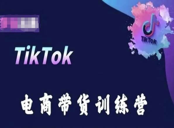 TikTok电商带货训练营，跟随时代潮流，跨境掘金网创项目-知识付费-在线课程-自媒体创业-网络副业-优利资源优利资源网