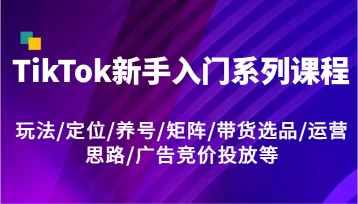 TikTok新手入门系列课程，玩法/定位/养号/矩阵/带货选品/运营思路/广告竞价投放等网创项目-知识付费-在线课程-自媒体创业-网络副业-优利资源优利资源网