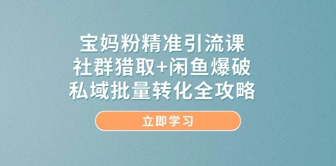 宝妈粉精准引流课，社群猎取+闲鱼爆破，私域批量转化全攻略网创项目-知识付费-在线课程-自媒体创业-网络副业-优利资源优利资源网
