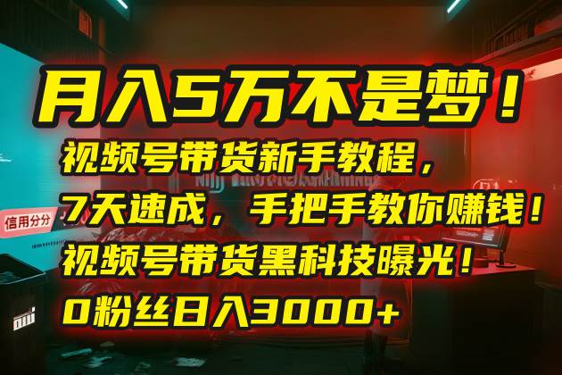 （15595期）月入5万不是梦！视频号带货新手教程，7天速成，手把手教你赚钱！视频号…网创项目-知识付费-在线课程-自媒体创业-网络副业-优利资源优利资源网
