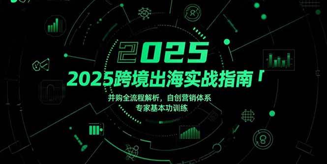 （15503期）2025跨境出海实战指南，并购全流程解析，自创营销体系，专家基本功训练网创项目-知识付费-在线课程-自媒体创业-网络副业-优利资源优利资源网