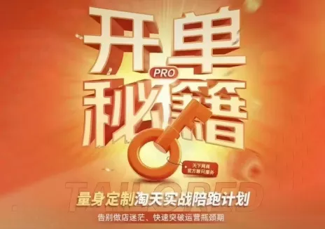 天下网商·淘宝天猫陪跑计划(更新7月)网创项目-知识付费-在线课程-自媒体创业-网络副业-优利资源优利资源网