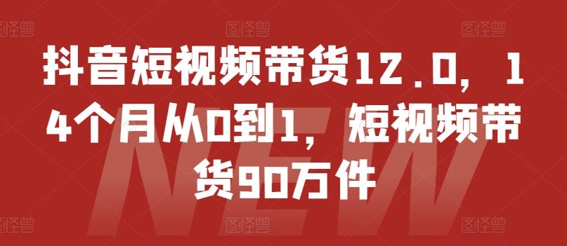 抖音短视频带货12.0，14个月从0到1，短视频带货90万件网创项目-知识付费-在线课程-自媒体创业-网络副业-优利资源优利资源网