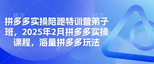 拼多多实操陪跑特训营弟子班，2025年2月拼多多实操课程，海量拼多多玩法网创项目-知识付费-在线课程-自媒体创业-网络副业-优利资源优利资源网