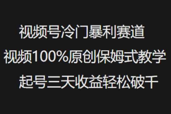 视频号冷门暴利赛道视频100%原创保姆式教学起号三天收益轻松破千网创项目-知识付费-在线课程-自媒体创业-网络副业-优利资源优利资源网