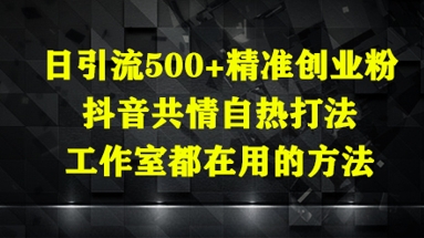 日引流500+精准创业粉，抖音共情自热打法，工作室都在用的方法网创项目-知识付费-在线课程-自媒体创业-网络副业-优利资源优利资源网