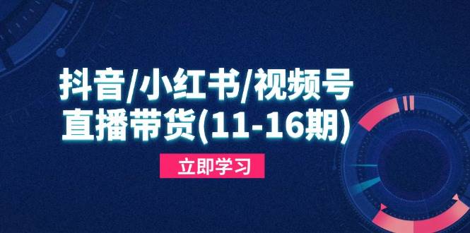 （14611期）抖音/小红书/视频号/直播带货(11-16期)，快速掌握平台规则，打造爆款内容网创项目-知识付费-在线课程-自媒体创业-网络副业-优利资源优利资源网