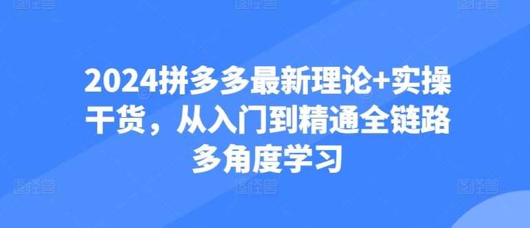 2024拼多多最新理论+实操干货，从入门到精通全链路多角度学习网创项目-知识付费-在线课程-自媒体创业-网络副业-优利资源优利资源网