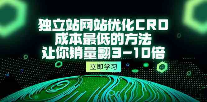 独立站网站优化CRO，成本最低的方法，让你销量翻3-10倍（5节课）网创项目-知识付费-在线课程-自媒体创业-网络副业-优利资源优利资源网