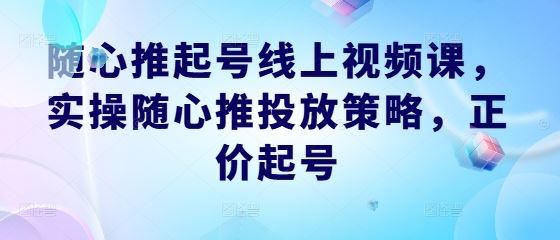 随心推起号线上视频课，实操随心推投放策略，正价起号网创项目-知识付费-在线课程-自媒体创业-网络副业-优利资源优利资源网