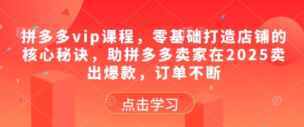 拼多多vip课程，零基础打造店铺的核心秘诀，助拼多多卖家在2025卖出爆款，订单不断网创项目-知识付费-在线课程-自媒体创业-网络副业-优利资源优利资源网