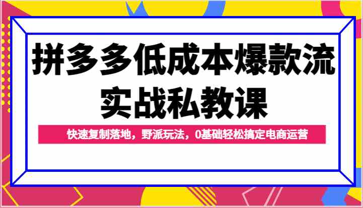 拼多多低成本爆款流实战私教课，快速复制落地，野派玩法，0基础轻松搞定电商运营网创项目-知识付费-在线课程-自媒体创业-网络副业-优利资源优利资源网