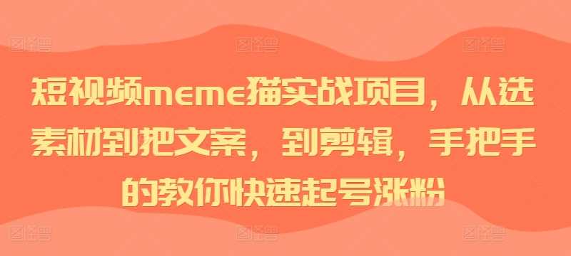 短视频meme猫实战项目，从选素材到把文案，到剪辑，手把手的教你快速起号涨粉网创项目-知识付费-在线课程-自媒体创业-网络副业-优利资源优利资源网