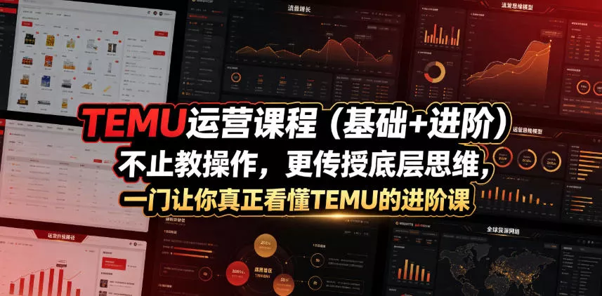TEMU运营课程(基础+进阶)，不止教操作，更传授底层思维，一门让你真正看懂TEMU的进阶课网创项目-知识付费-在线课程-自媒体创业-网络副业-优利资源优利资源网