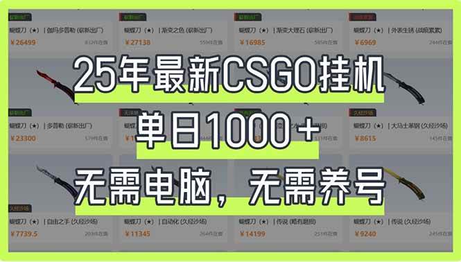 （14178期）25年最新CSGO挂机系统，单日1000+，无需电脑，无需养号，0基础可上手网创项目-知识付费-在线课程-自媒体创业-网络副业-优利资源优利资源网
