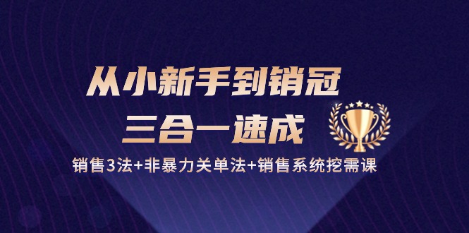从小新手到销冠三合一速成：销售3法+非暴力关单法+销售系统挖需课 (27节)网创项目-知识付费-在线课程-自媒体创业-网络副业-优利资源优利资源网