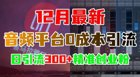 12月最新：音频平台0成本引流，日引流300+精准创业粉网创项目-知识付费-在线课程-自媒体创业-网络副业-优利资源优利资源网