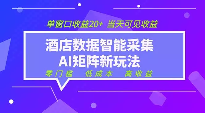 2026酒店数据采集ai智能矩阵新风口 低成本 高收益 当天见收益 单窗口20+网创项目-知识付费-在线课程-自媒体创业-网络副业-优利资源优利资源网