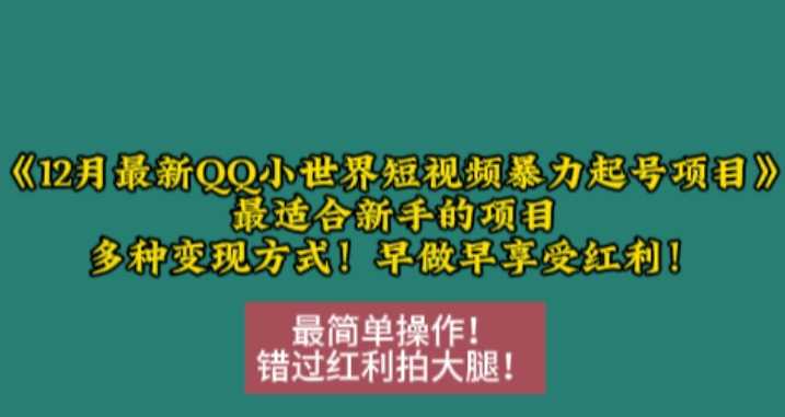 12月最新QQ小世界短视频暴力起号项目，最适合新手的项目，多种变现方式网创项目-知识付费-在线课程-自媒体创业-网络副业-优利资源优利资源网