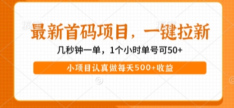最新首码项目，操作最简单，收益高，一键拉新，1个小时单号可50+，小项目认真做每天5张+收益【揭秘】网创项目-知识付费-在线课程-自媒体创业-网络副业-优利资源优利资源网